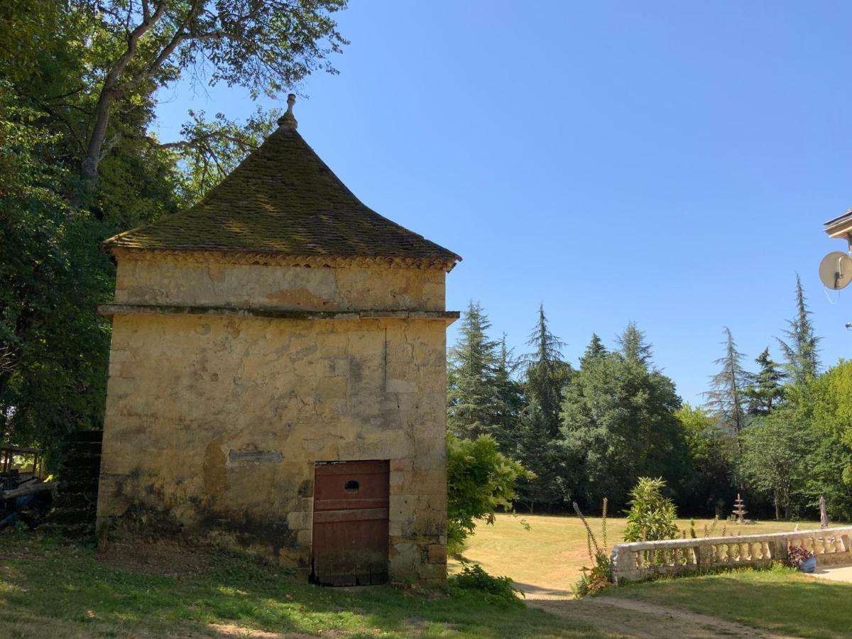 Chateau D'Argentonesse Castels Exteriér fotografie